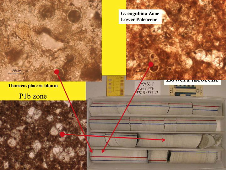 Slide55