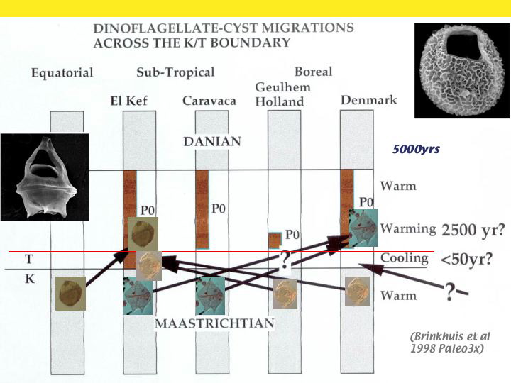 Slide75