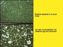 Slide52