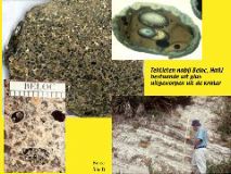 Slide30