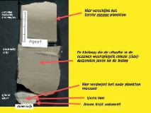 Slide11