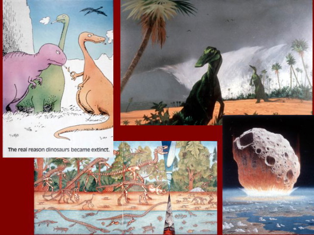 Slide11
