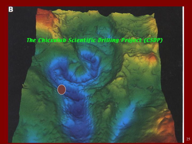 Slide25