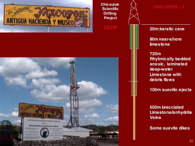 Slide31