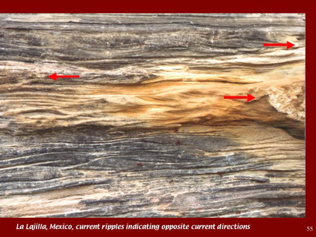 Slide55