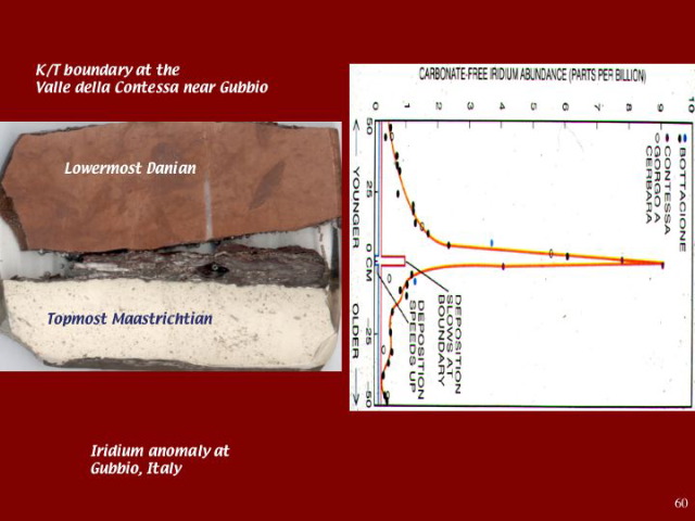 Slide60