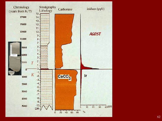 Slide62