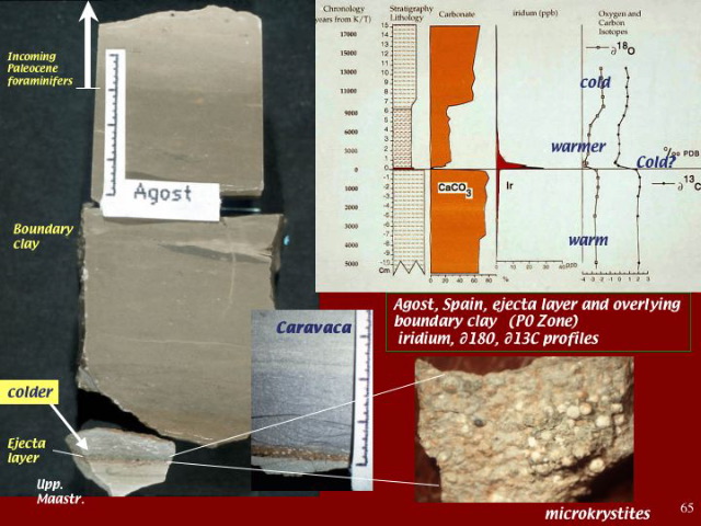 Slide65