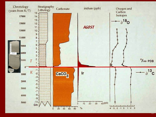 Slide67
