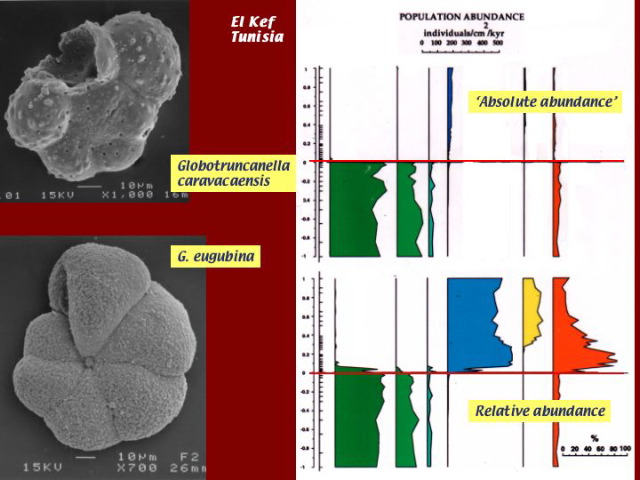Slide71