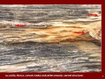 Slide55