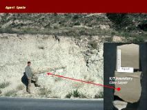 Slide61