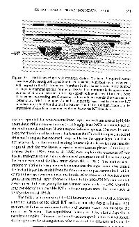 text12f