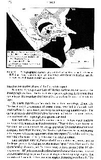 text13f