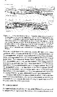 text15f