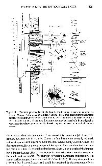 text16f