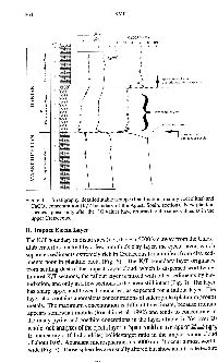 text6f