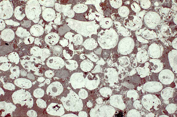 spherules