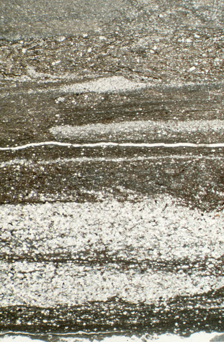 top clastic bed