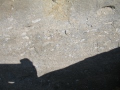 IMG_1512.JPG