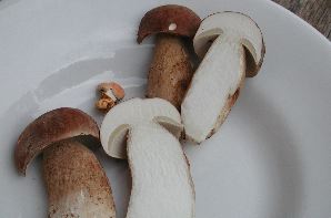 DSCN0030