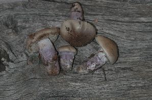 DSCN0028