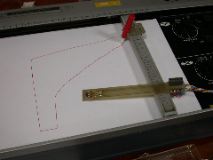 DSCN2246