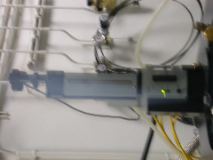 DSCN2254