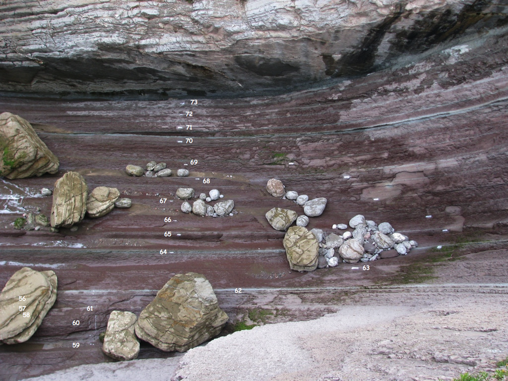 zumaya