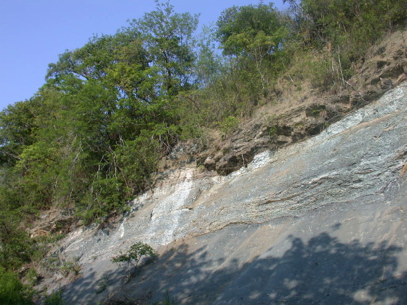 DSCN1039