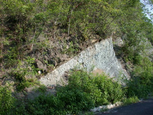 DSCN1040