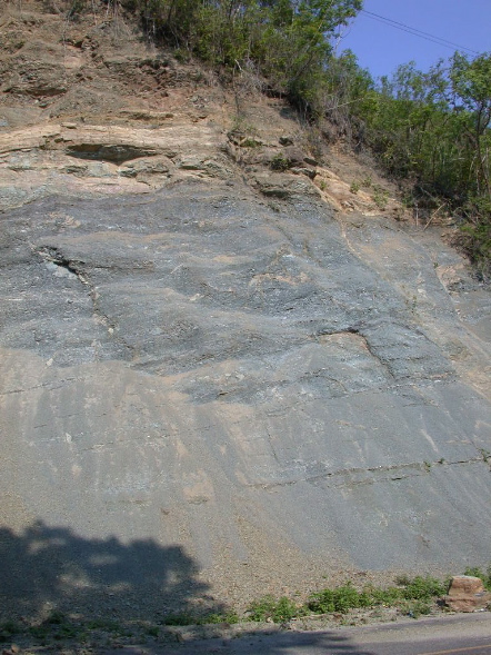 DSCN1048