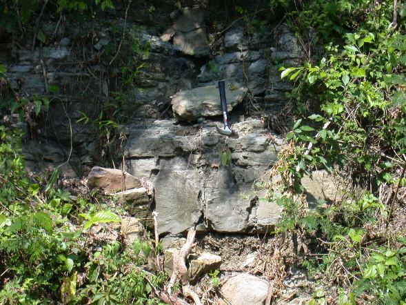DSCN1053