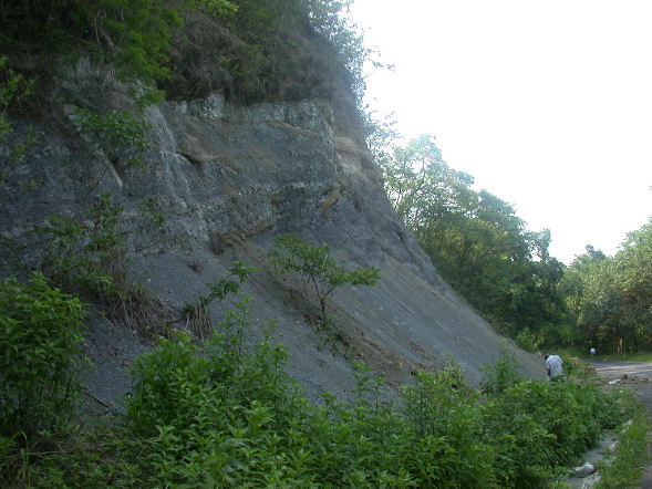 DSCN1030