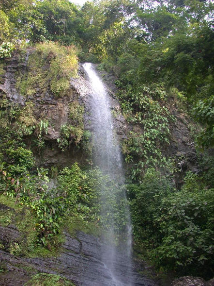 DSCN1031