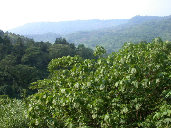 DSCN1032