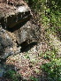 DSCN1051