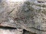 DSCN1054