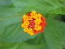DSCN1058