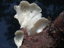 DSCN1062