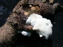 DSCN1063