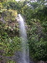 DSCN1031