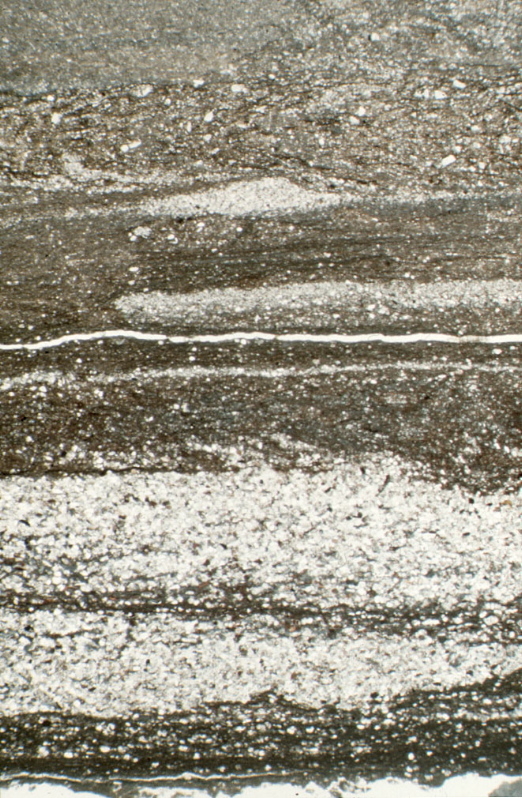 Top lajilla detail
