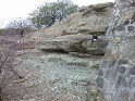 DSCN1141