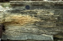 LajillaTsun