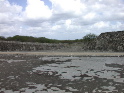 DSCN1137