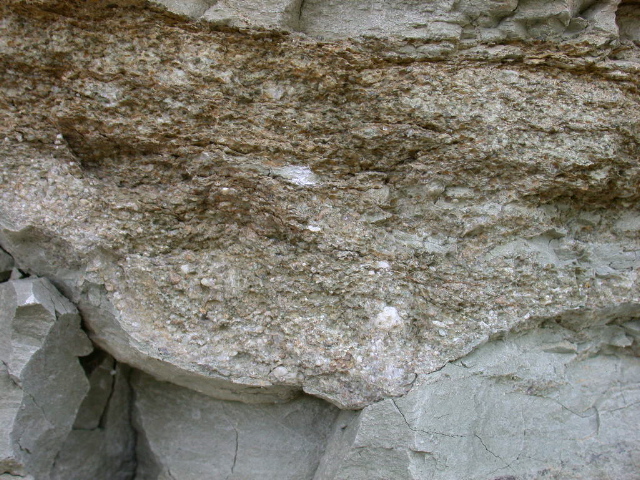 DSCN1093