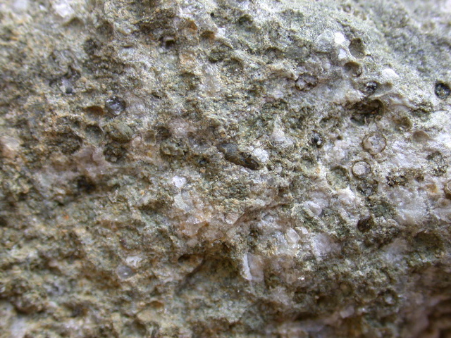 DSCN1101