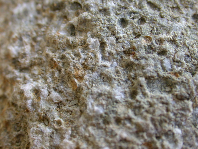 DSCN1102