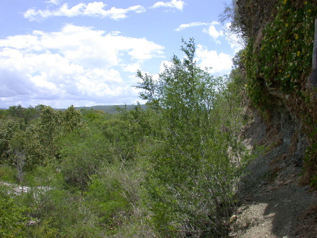 DSCN1068